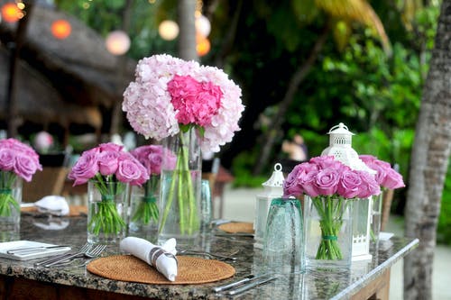 透明玻璃花瓶中的粉红玫瑰 · 免费素材图片