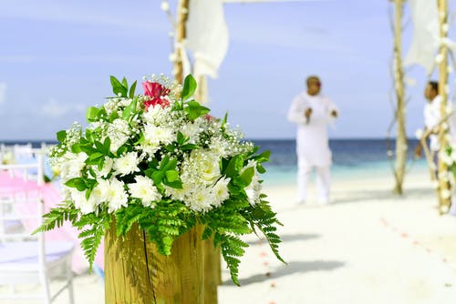 白菊花的选择性聚焦摄影在海滨的白色thobe的人附近开花花束 · 免费素材图片