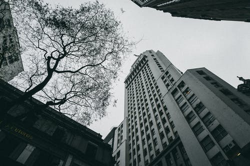 高层建筑的灰度摄影 · 免费素材图片