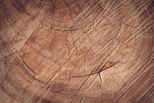 棕木 · 免费素材图片