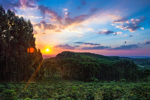 绿草田的广角照片 · 免费素材图片
