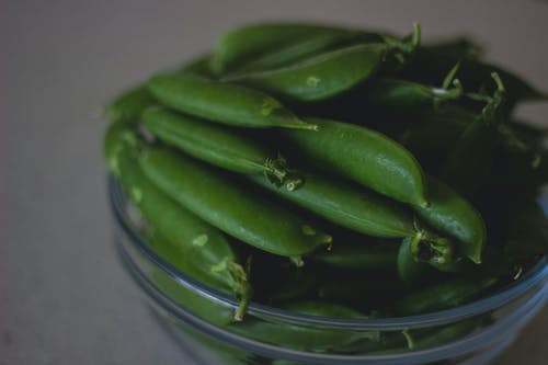 绿豆 · 免费素材图片