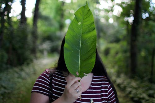 女人抱着绿叶 · 免费素材图片