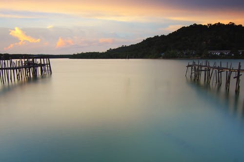 Woo的woo Brown Woo帖子 · 免费素材图片