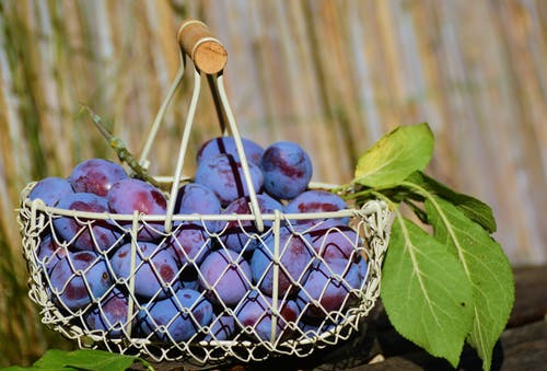 白钢篮子里的紫色葡萄果实 · 免费素材图片