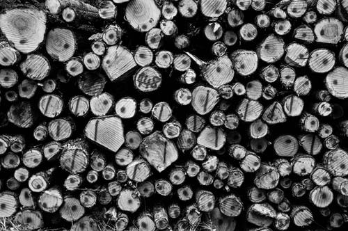 线材原木的灰度摄影 · 免费素材图片
