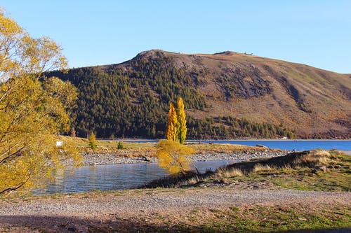 湖上的黄色树与布朗山背景照片 · 免费素材图片