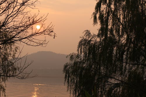 黄金时段在rockhill上的两棵树的轮廓 · 免费素材图片