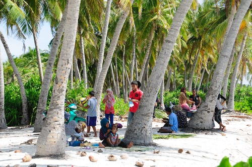 人们坐在椰子树下站着 · 免费素材图片