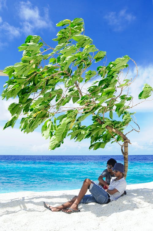 两个男人坐在面对海的树下 · 免费素材图片