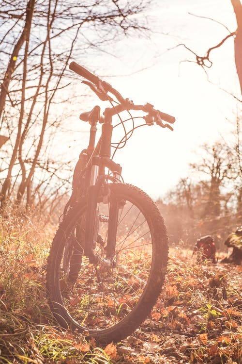 棕色的草地上的黑色自行车 · 免费素材图片