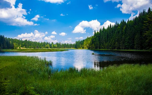 森林湖的风景 · 免费素材图片