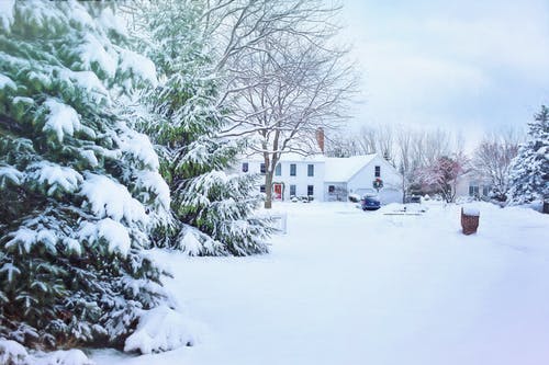 大雪覆盖的房屋和树木 · 免费素材图片