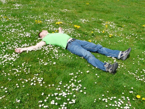 躺在草地上的高角度视图 · 免费素材图片