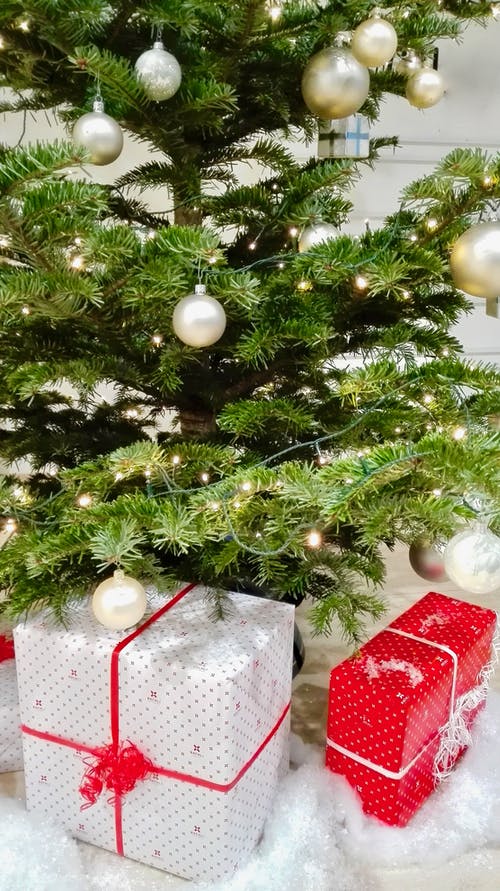 绿色圣诞树旁边的礼物 · 免费素材图片
