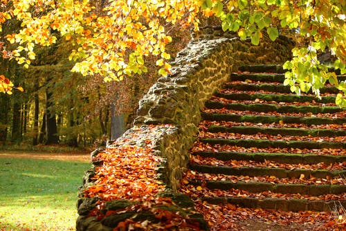 楼梯与叶子 · 免费素材图片