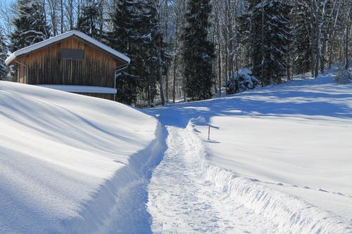雪旁边的棕色木屋 · 免费素材图片