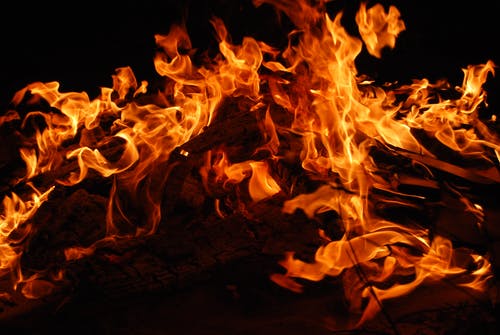 燃烧的树 · 免费素材图片