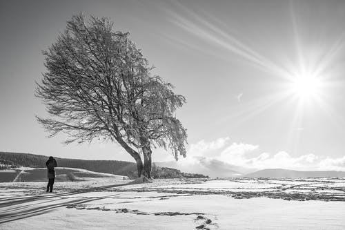 站在雪地上的人 · 免费素材图片