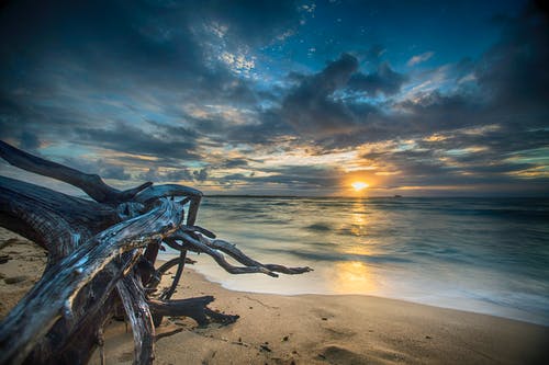 有关4k 桌面, 4k背景, 天性的免费素材图片