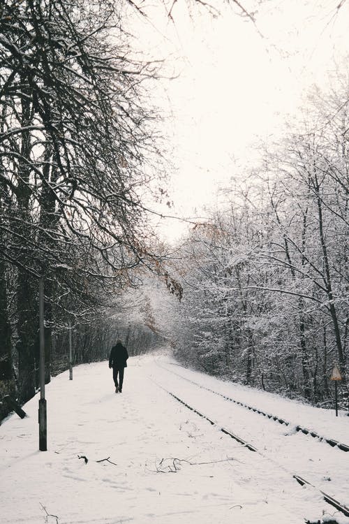 在雪原上行走的人 · 免费素材图片