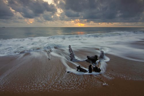 布朗海浪 · 免费素材图片