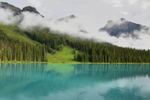 绿树环绕的湖 · 免费素材图片