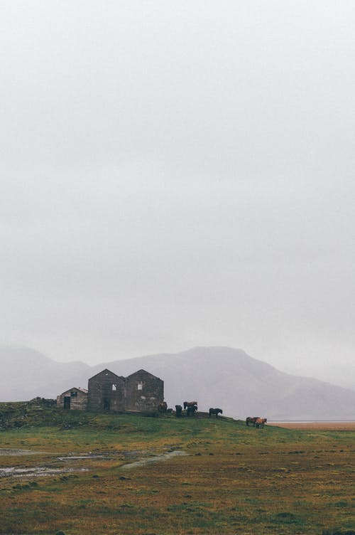 灰色混凝土建筑 · 免费素材图片