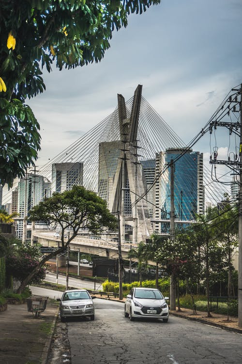 巴西oleivera桥 · 免费素材图片