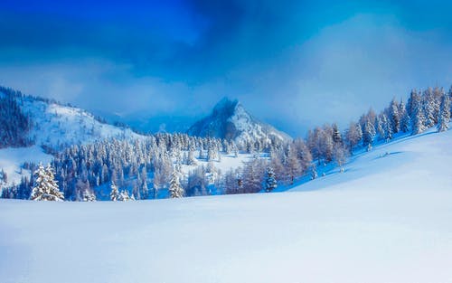 有关下雪的, 冬天的背景, 冬季的免费素材图片