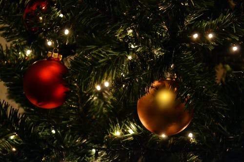 圣诞树上的金色和红色摆设 · 免费素材图片