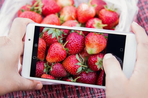 捕捉红草莓照片的人 · 免费素材图片