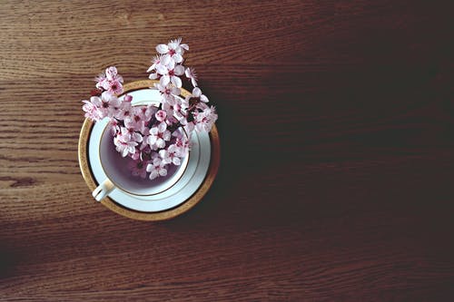 白色陶瓷杯中的白色和紫色花朵 · 免费素材图片