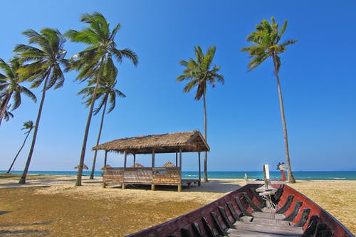红船面对海边的棕榈树 · 免费素材图片