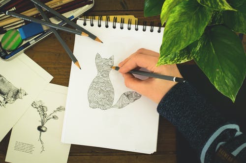 人素描猫 · 免费素材图片