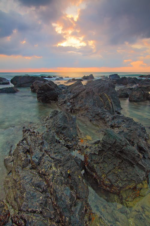 棕壤 · 免费素材图片