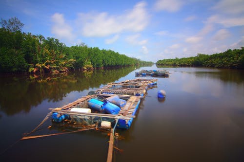 水体浮桥 · 免费素材图片