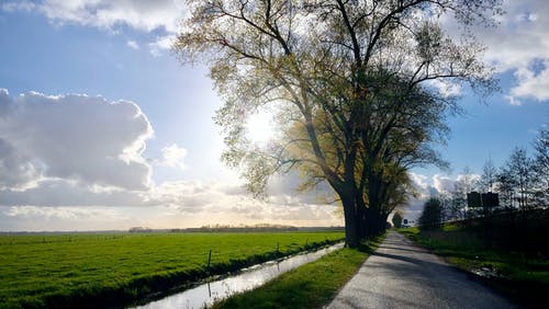 树木和河 · 免费素材图片