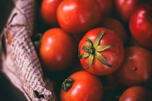 一堆红番茄 · 免费素材图片