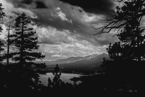 山脉和树木的灰度摄影 · 免费素材图片