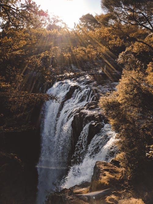 瀑布被树木包围着阳光 · 免费素材图片