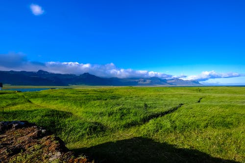 绿草地 · 免费素材图片