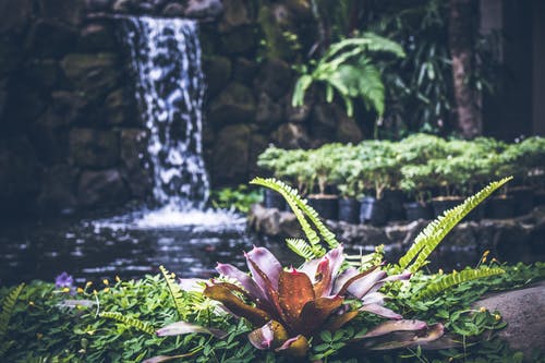 棕色的花，灰色木原木 · 免费素材图片