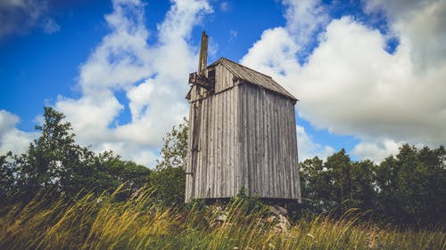 棕色木制棚和草地 · 免费素材图片