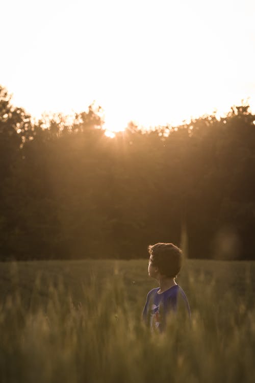 看着地平线上站在草地上的男孩 · 免费素材图片