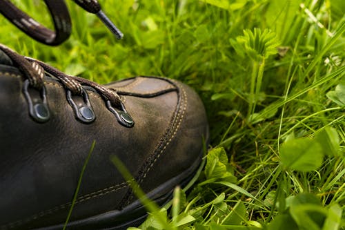 黑色皮鞋在草地上 · 免费素材图片
