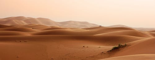 沙漠 · 免费素材图片