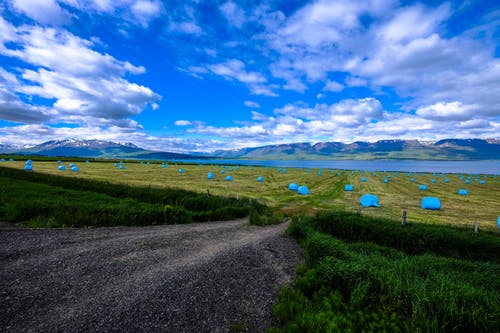 草地附近的路 · 免费素材图片