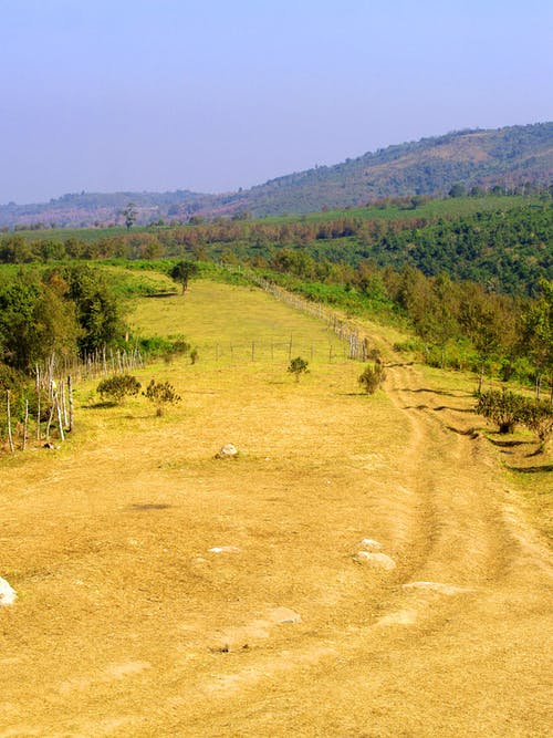 有关不清楚, 天性, 天空的免费素材图片