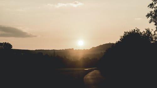 日落期间树木的轮廓 · 免费素材图片